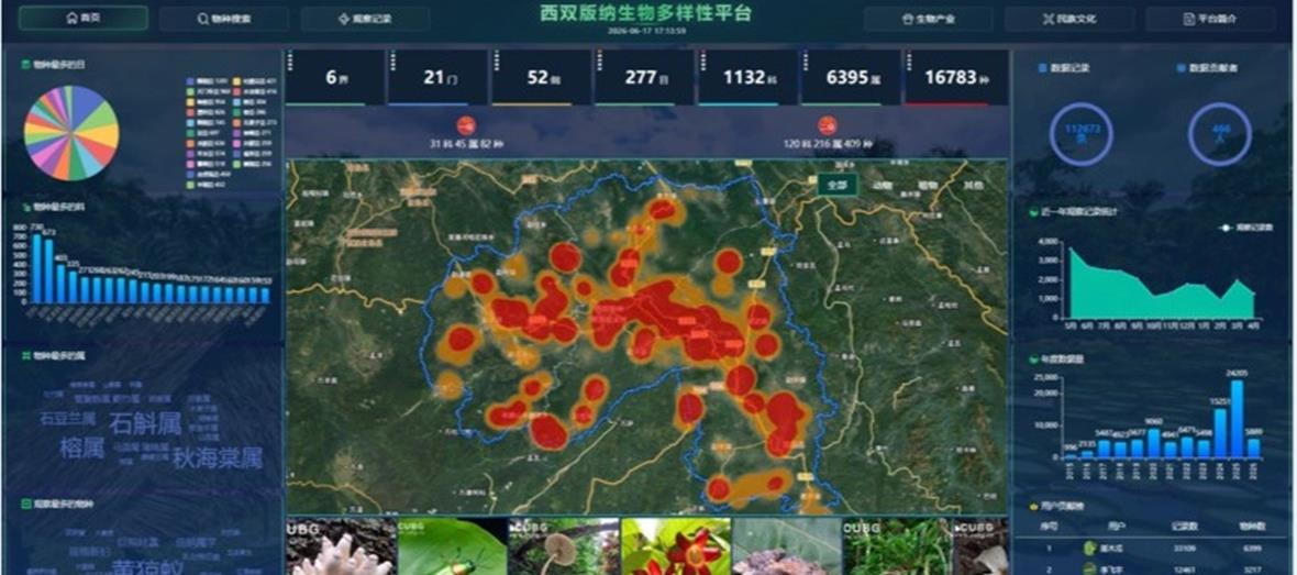 西双版纳生物多样性平台界面截图